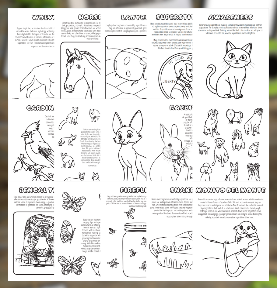 Color 'n Learn - Animal Superstitions
